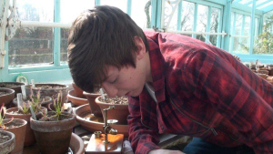Post-16 student examining carnivorous plants in Darwin's greenhouse at Down House