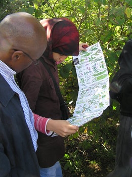 Teachers and students using Field Studies Council identification sheets