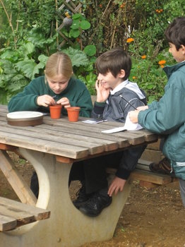 Pupils handling worms at King Henry's Walk Gardens
